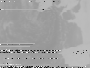 MHS-1.png